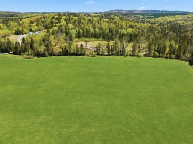 New price! Note more acreage available if you want to purchase - photo 14