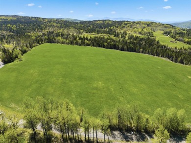 New price! Note more acreage available if you want to purchase - photo 15