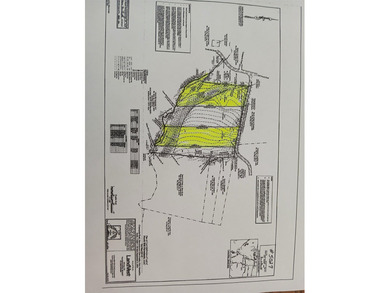 New price! Note more acreage available if you want to purchase - photo 17