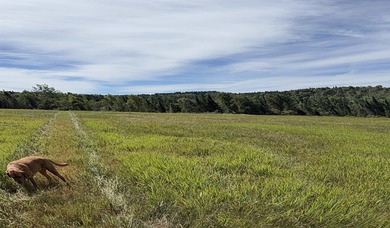 New price! Note more acreage available if you want to purchase - photo 18