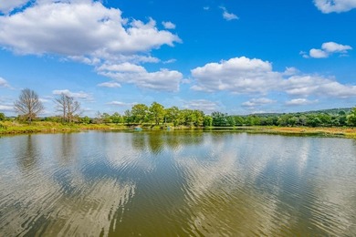 A beautiful property with over 2,500' of both sides of Elm Creek - photo 22