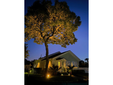 Located on a corner lot in the historic Flamingo Park - photo 28