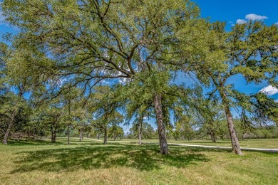 A beautiful property with over 2,500' of both sides of Elm Creek - photo 32