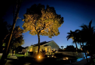 Located on a corner lot in the historic Flamingo Park - photo 32