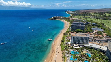 Welcome to your Luxurious oceanview condo located on the iconic - photo 42