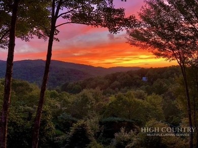 Magnificent home embraced by rhododendrons and hardwood trees - photo 1