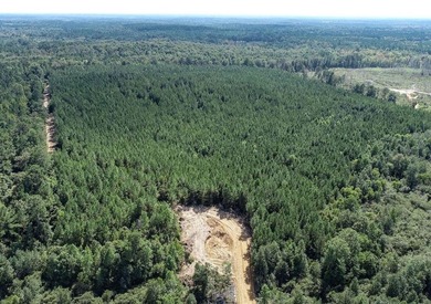 Lake Acreage For Sale in , Mississippi