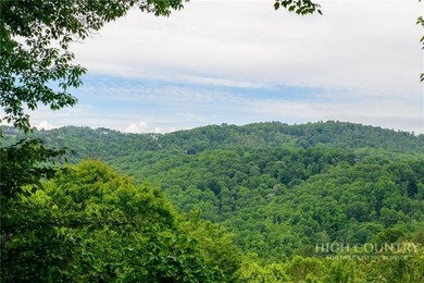 Magnificent home embraced by rhododendrons and hardwood trees - photo 2