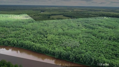 Amazing opportunity to own 119 acres of prime wooded real estate - photo 11