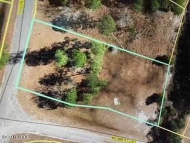 (private lake, pond, creek) Lot Sale Pending in Harrells North Carolina