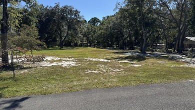 **Prime Canal-Front Lot - Perfect for Your Dream Home** Nestled - photo 1