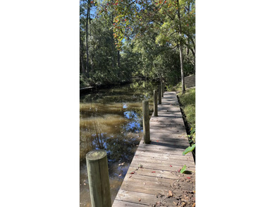 **Prime Canal-Front Lot - Perfect for Your Dream Home** Nestled - photo 8