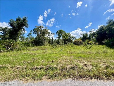 Port Charlotte Waterway Area Lot For Sale in Port Charlotte Florida