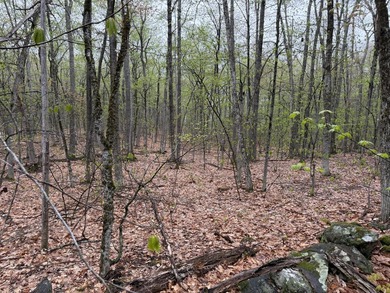 Discover your opportunity to own a peaceful slice of rural - photo 1