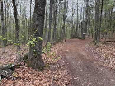 Discover your opportunity to own a peaceful slice of rural - photo 2