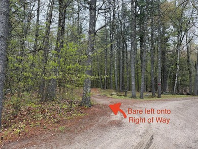 Discover your opportunity to own a peaceful slice of rural - photo 3