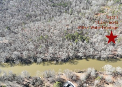 Lake Acreage For Sale in Wedowee, Alabama