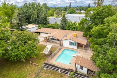 Welcome to 20436 Gas Point Rd in Cottonwood! This property - photo 2