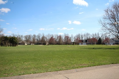 Sunset Lake - Kalamazoo County Lot For Sale in Vicksburg Michigan