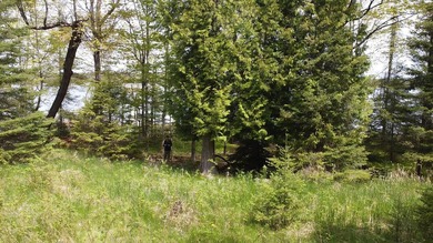Outstanding Lasalle Island building lot offers an authentic - photo 11