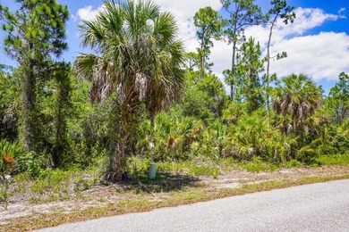 Discover the opportunity to own between 1/4 and 2/3 acre of - photo 11
