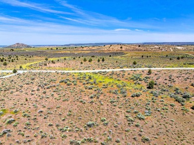 This is a rare lot on the Airstrip in California Pines with - photo 11