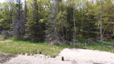 Outstanding Lasalle Island building lot offers an authentic - photo 12