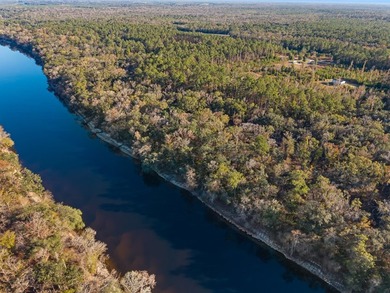 Country living at its best on this stunning 59-acre tract along - photo 13