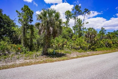 Discover the opportunity to own between 1/4 and 2/3 acre of - photo 13