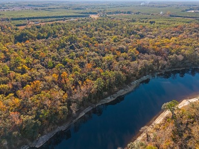 Country living at its best on this stunning 59-acre tract along - photo 19