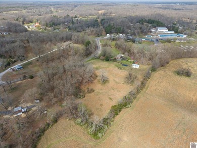 Beautiful 3BR, 2BA brick ranch-style home located in Kuttawa!! - photo 42