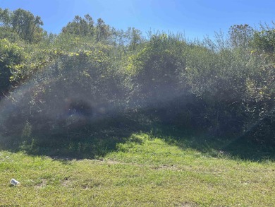 (private lake, pond, creek) Acreage For Sale in Jane Lew West Virginia