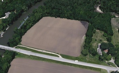 11.71 acres NEC of Oakley Ave/15th & Vermillion River. 8.3 ac - photo 12