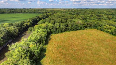 11.71 acres NEC of Oakley Ave/15th & Vermillion River. 8.3 ac - photo 13