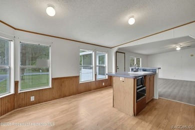 This nice spacious mobile home offers a well designed floor plan - photo 18