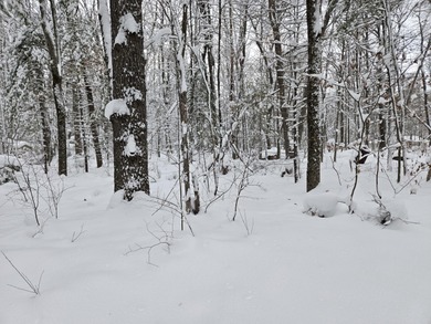 Spruce Lake  Lot For Sale in Baldwin Michigan