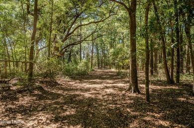 Set along the scenic waters of Capers Creek, 6087 Wallace - photo 25