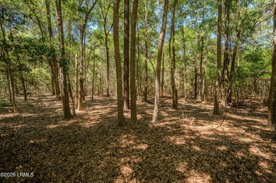 Set along the scenic waters of Capers Creek, 6087 Wallace - photo 26