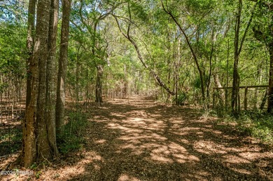 Set along the scenic waters of Capers Creek, 6087 Wallace - photo 27