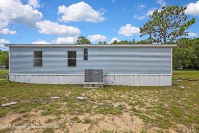 This nice spacious mobile home offers a well designed floor plan - photo 30
