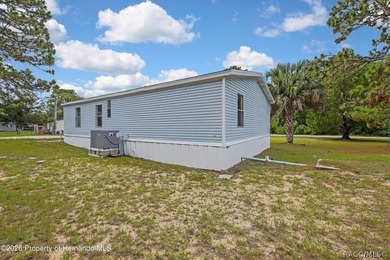 This nice spacious mobile home offers a well designed floor plan - photo 31