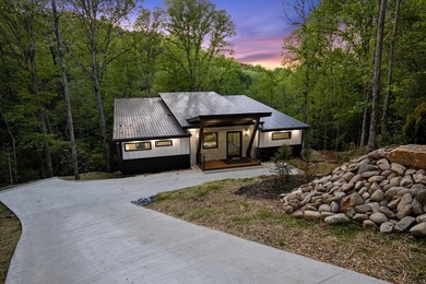 (private lake, pond, coastal) Home For Sale in Blue Ridge Georgia