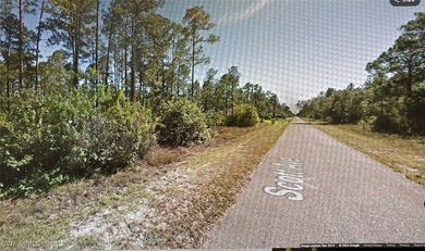 Lehigh Acres Area Lot For Sale in Lehigh Acres Florida