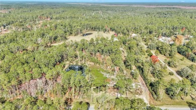 Lake Acreage For Sale in Fort Mccoy, Florida