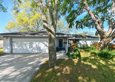 Lake Home For Sale in Land O Lakes, Florida