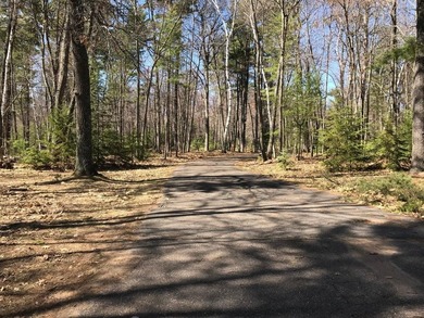 Located on the 28 Lake Chain, this exceptional property boasts - photo 12