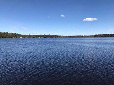 Located on the 28 Lake Chain, this exceptional property boasts - photo 14