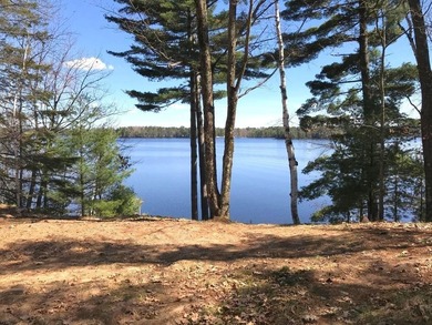 Located on the 28 Lake Chain, this exceptional property boasts - photo 20