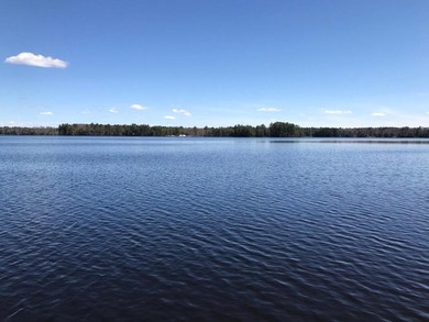 Located on the 28 Lake Chain, this exceptional property boasts - photo 21