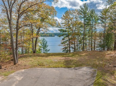 Located on the 28 Lake Chain, this exceptional property boasts - photo 23